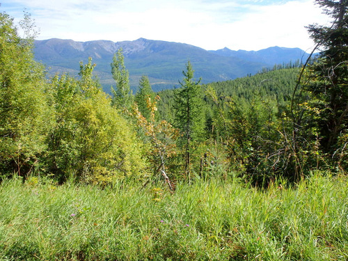 We are looking east toward the Swan Mountain Range.